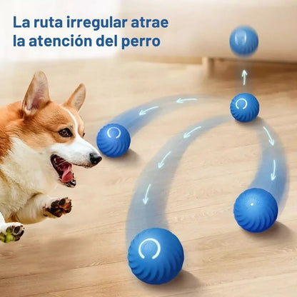 PELOTA VIBRADORA PARA MASCOTAS PET TORNADO™