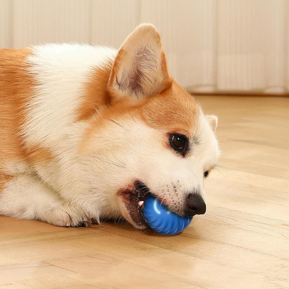 PELOTA VIBRADORA PARA MASCOTAS PET TORNADO™