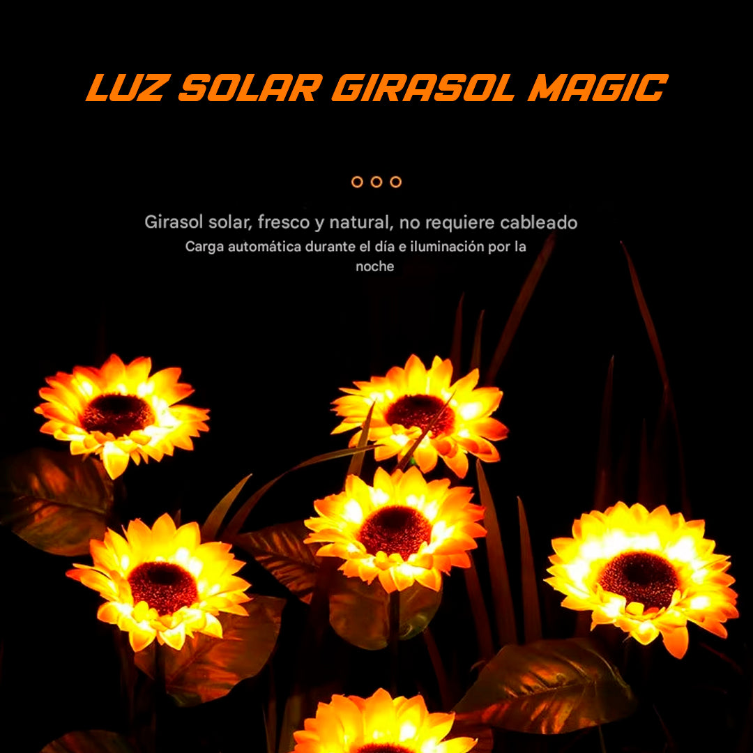 PACK LUZ SOLAR GIRASOL -  HOLLY DREAM™