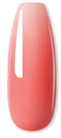 KIT DE UÑAS POLYGEL